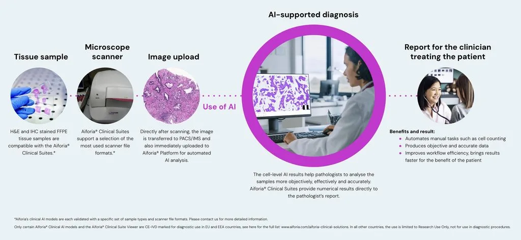 Especialista revisando imágenes médicas con apoyo de inteligencia artificial